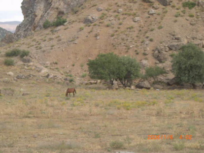 Die Anzeige dieses Bildes wird in Ihrem Browser möglicherweise nicht unterstützt.