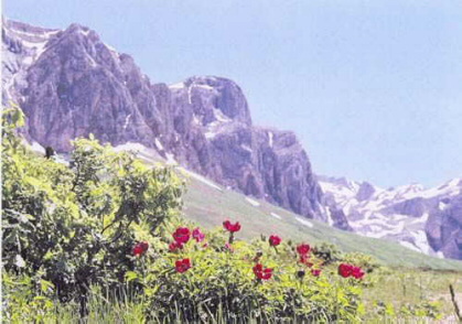 Die Anzeige dieses Bildes wird in Ihrem Browser möglicherweise nicht unterstützt.