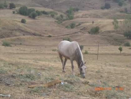 Die Anzeige dieses Bildes wird in Ihrem Browser möglicherweise nicht unterstützt.