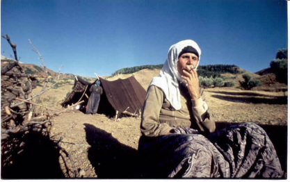 Die Anzeige dieses Bildes wird in Ihrem Browser möglicherweise nicht unterstützt.