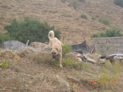 Die Anzeige dieses Bildes wird in Ihrem Browser möglicherweise nicht unterstützt.